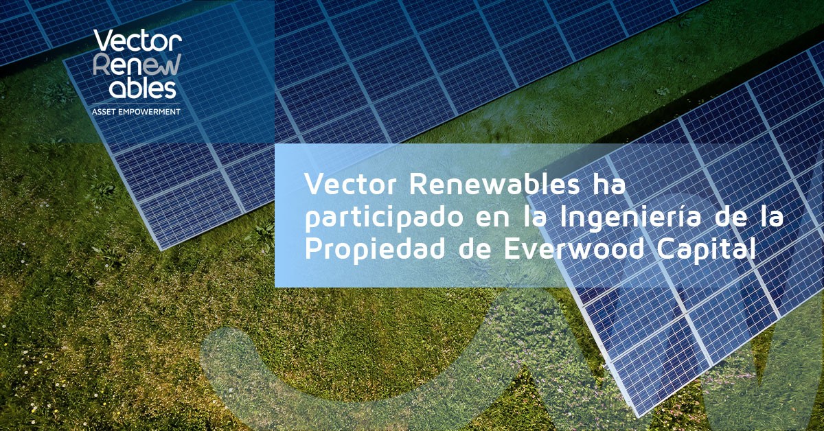 everwood-capital-ingenieria-de-la-propiedad-vector-renewables-fotovoltaica