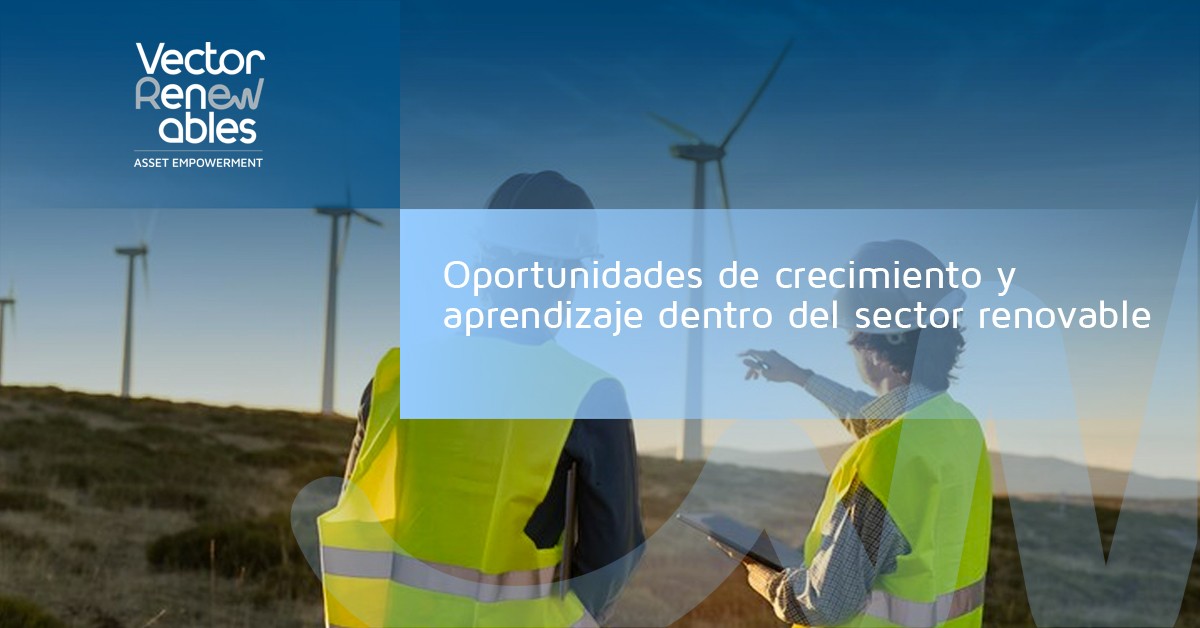 Oportunidades de crecimiento y aprendizaje dentro del sector renovable