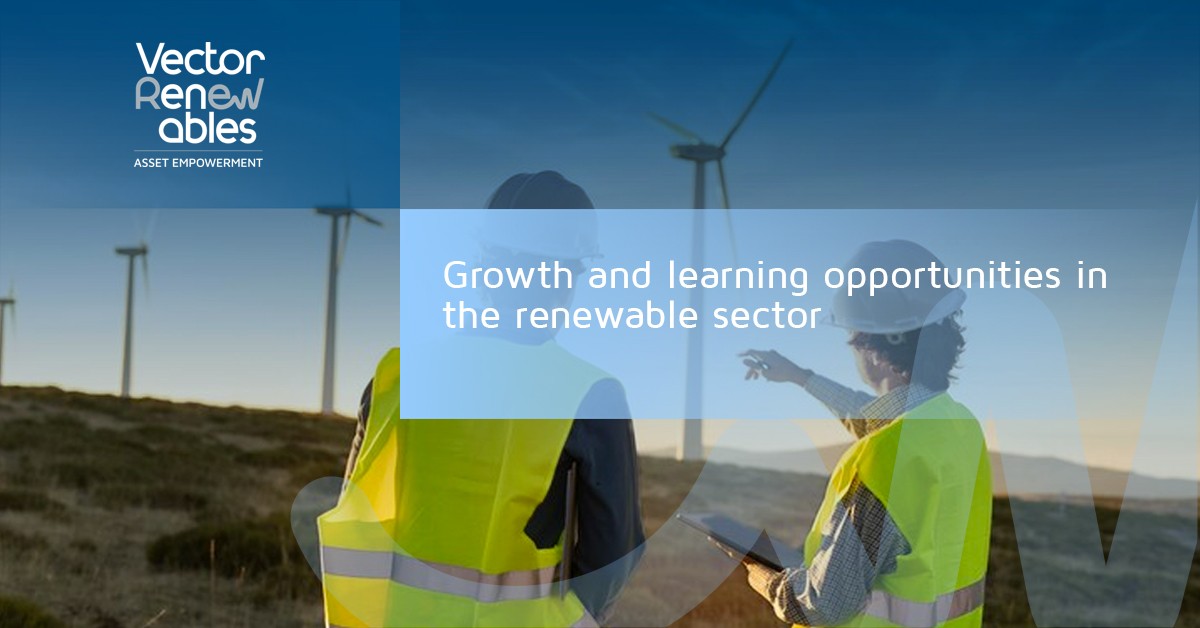 Growth and learning opportunities in the renewable sector