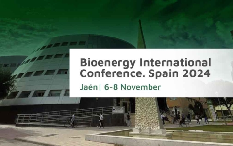 Bioenergy International Conference 2024